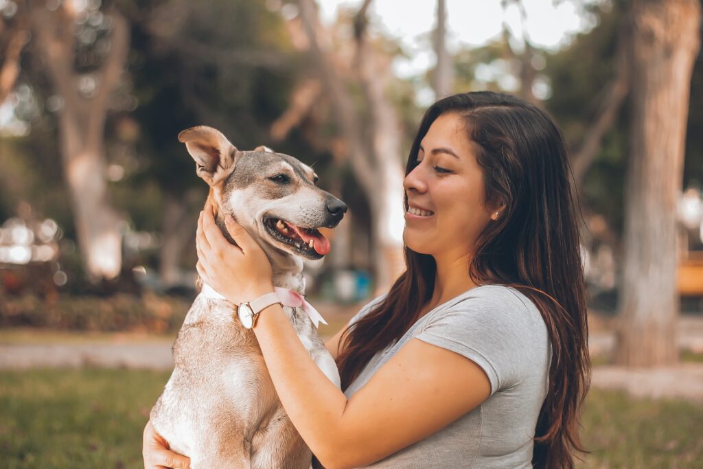 If you are a dog enthusiast just like me then once the playtime has ended and the water and food bowl are full your next concern is probably the overall health of your hound.